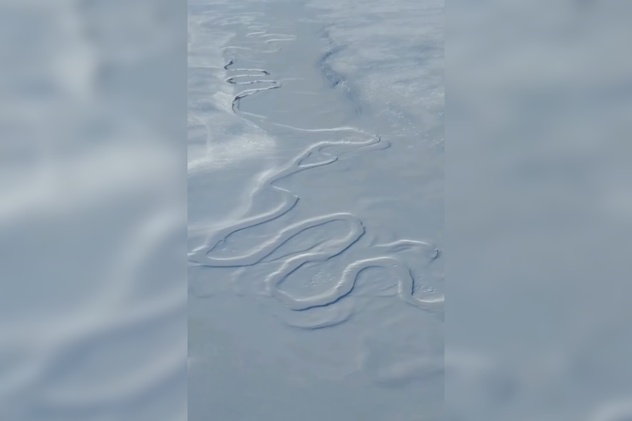 VIDEO| Solo se ve la silueta: Río completo en la Patagonia queda congelado bajo nieve