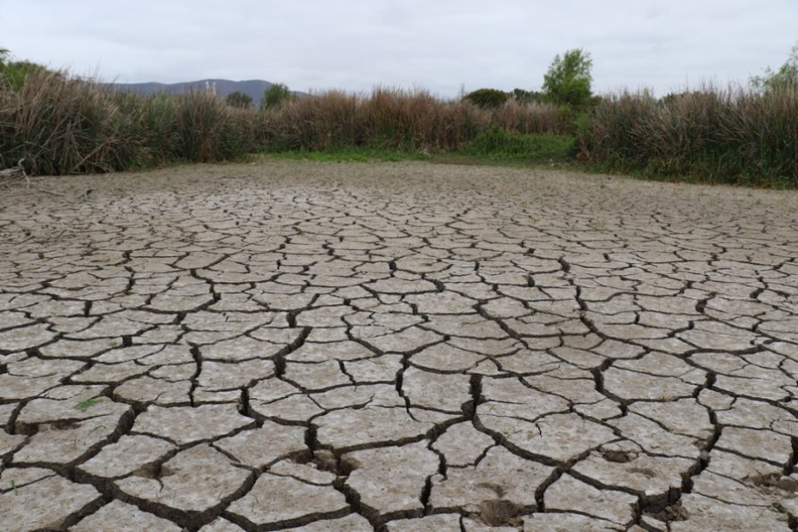 Hambre por cambio climático: Prevén caída de hasta 19% en cosechas con riego en Sudamérica a 2050