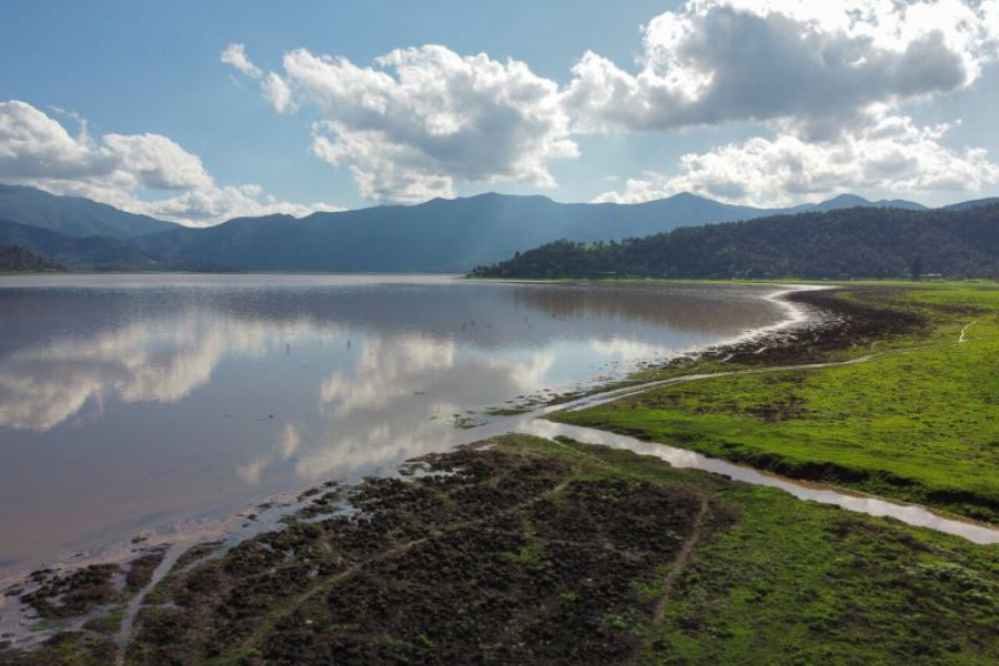 Siguen la pista a introducción ilegal del pejerrey argentino en recién recuperada Laguna de Aculeo