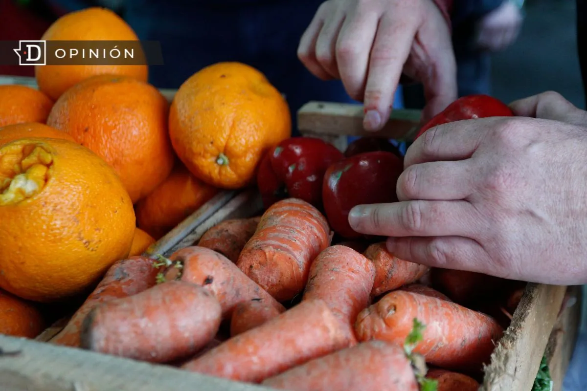 El medioambiente y la alimentación de las futuras generaciones