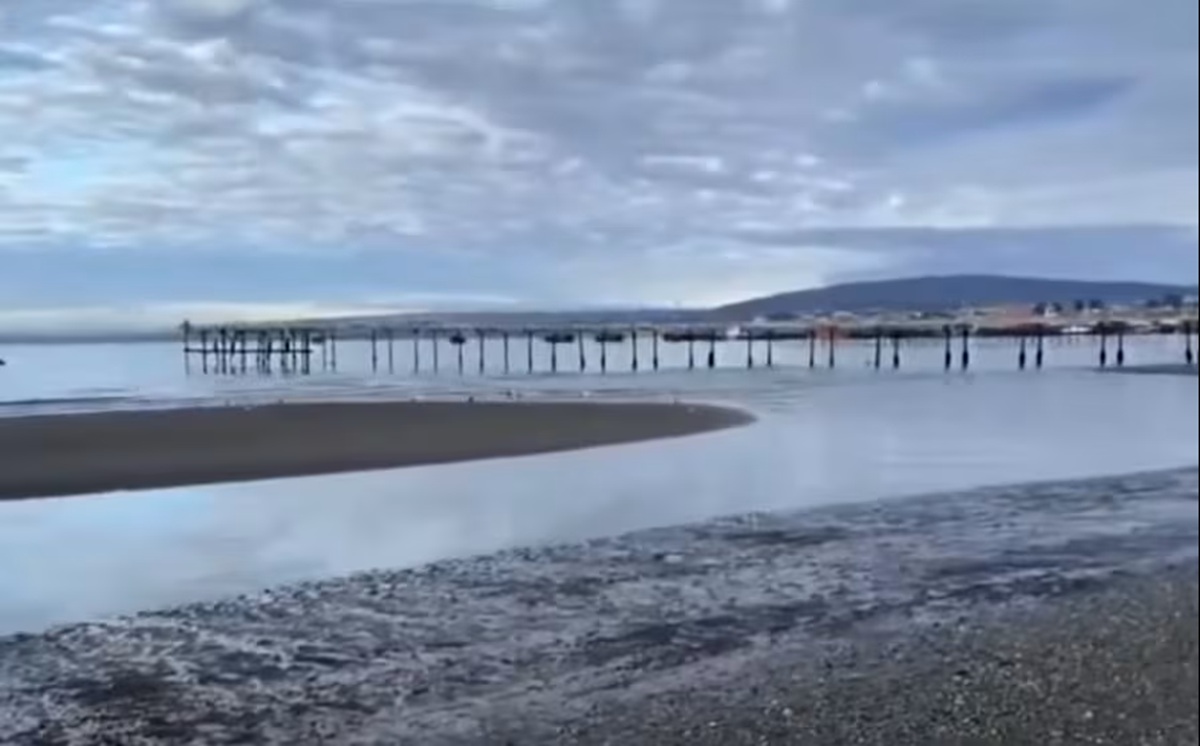 VIDEO| ¿Se está recogiendo el mar en Punta Arenas? Marcelo Lagos explica alarmante registro