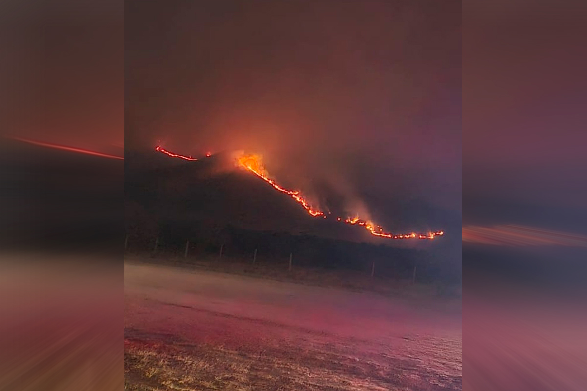 Incendio forestal tiene a Santiago con mucho olor a humo: Suspenden clases en Curacaví y María Pinto