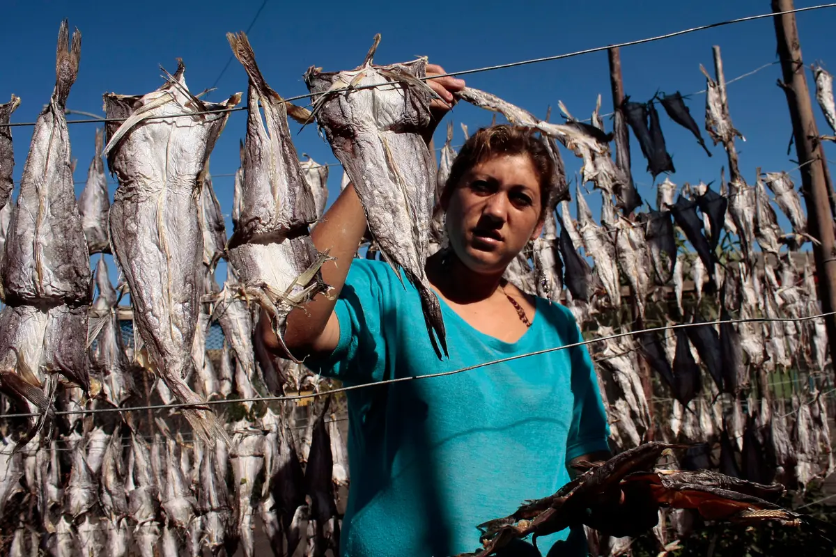 Batalla por supervivencia de merluza: Comisión mixta decidirá entre otorgar 70% a pescadores artesanales o mantener dominio industrial