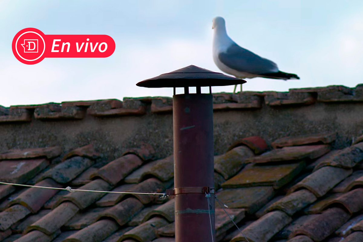 EN VIVO| ¿Humo negro o humo blanco? En minutos saldrá la primera fumata para saber si 
