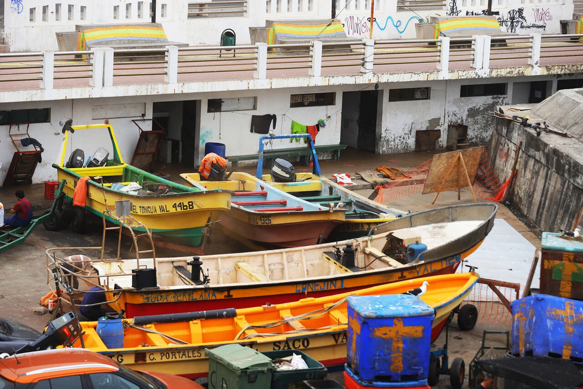 Pesca artesanal ve oportunidad en cierre de PacificBlu para aumentar su cuota de merluza común