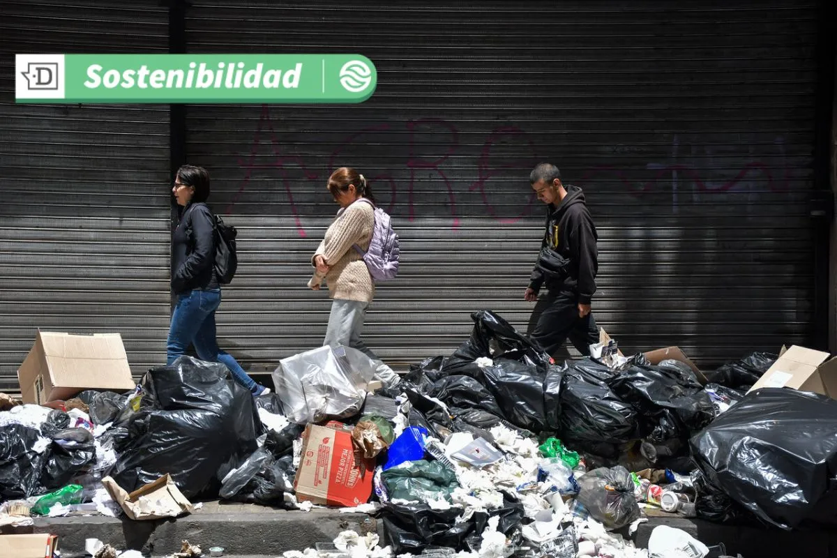 Premios Cero Basura: Conoce las cuatro iniciativas destacadas que avanzan hacia una economía circular en Chile