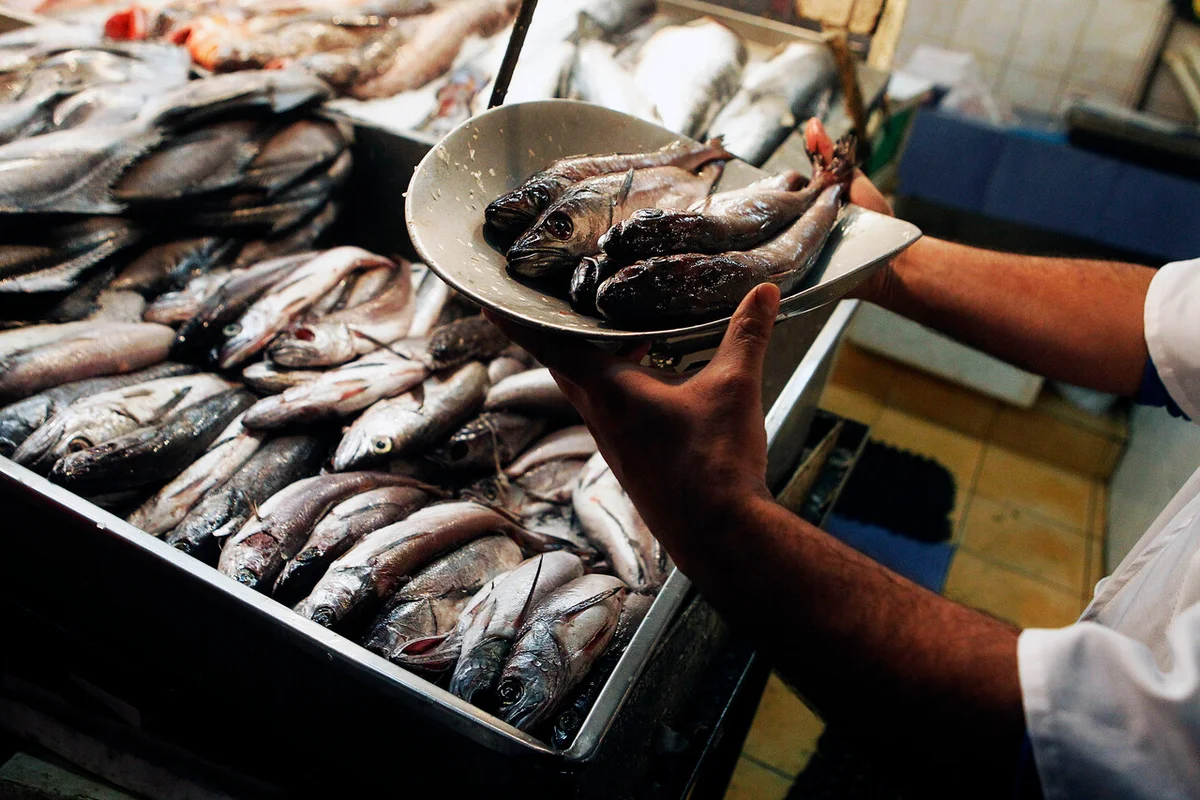 Pescadores artesanales celebran favorable fraccionamiento de la merluza 