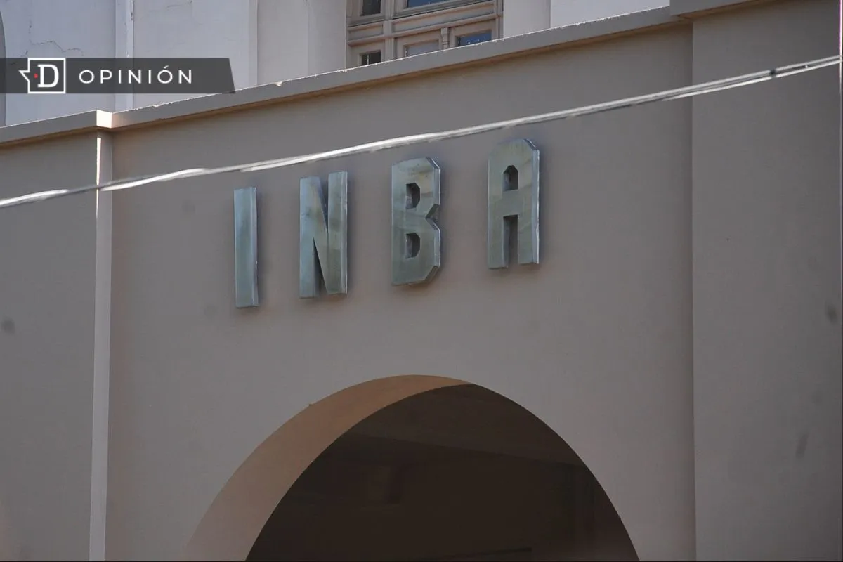 “Parece colegio diferencial”: El rector del INBA y el TEA