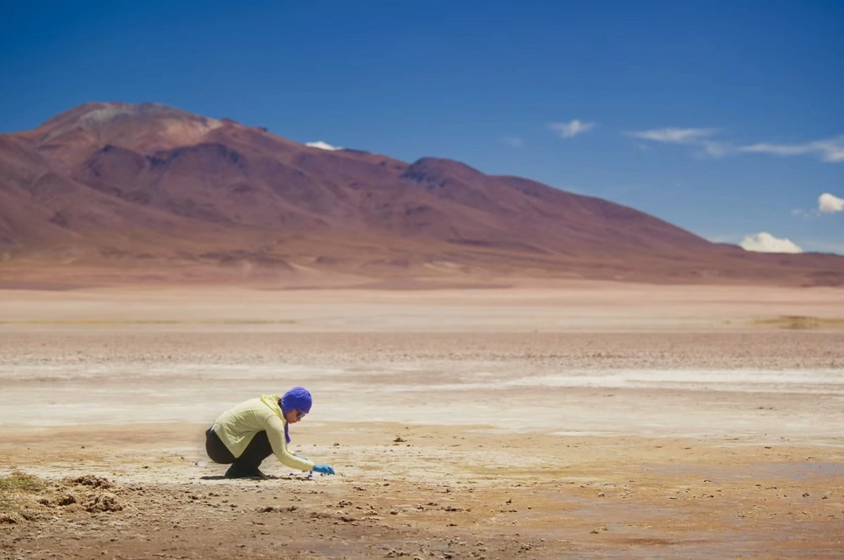 Salares pasan de minería a medicina: Documental muestra cómo nos pueden salvar de la crisis de resistencia a antibióticos