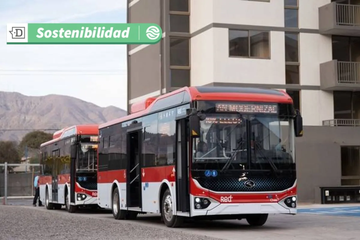 La primera ciudad de Sudamérica: Copiapó tendrá transporte público 100% eléctrico con más de 120 buses