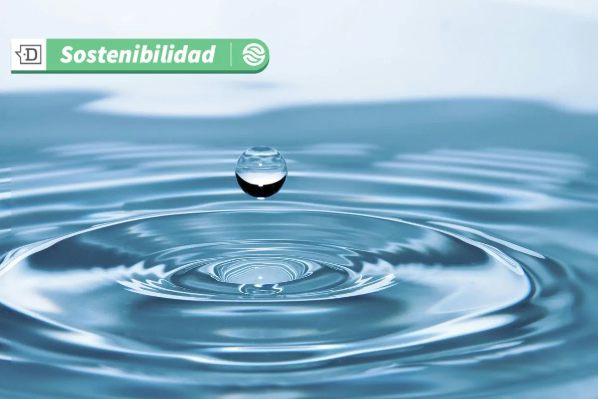 APL Certificado Azul: Más de 90 empresas disminuyen consumo de agua e impactan positivamente los territorios