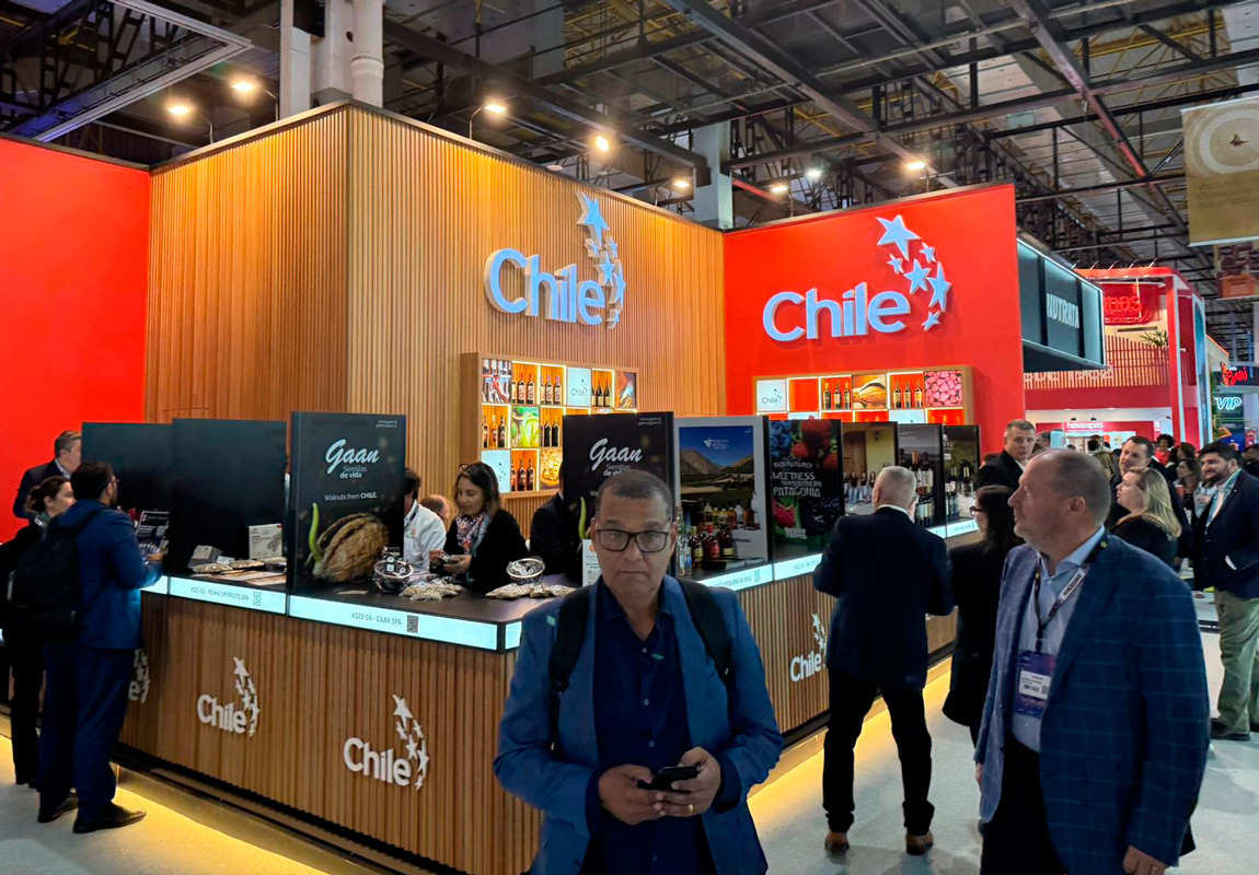 Además del vino y pisco, Chile sale a exportar cervezas y jugos al mercado brasileño: buscan vender US$ 4.995 millones