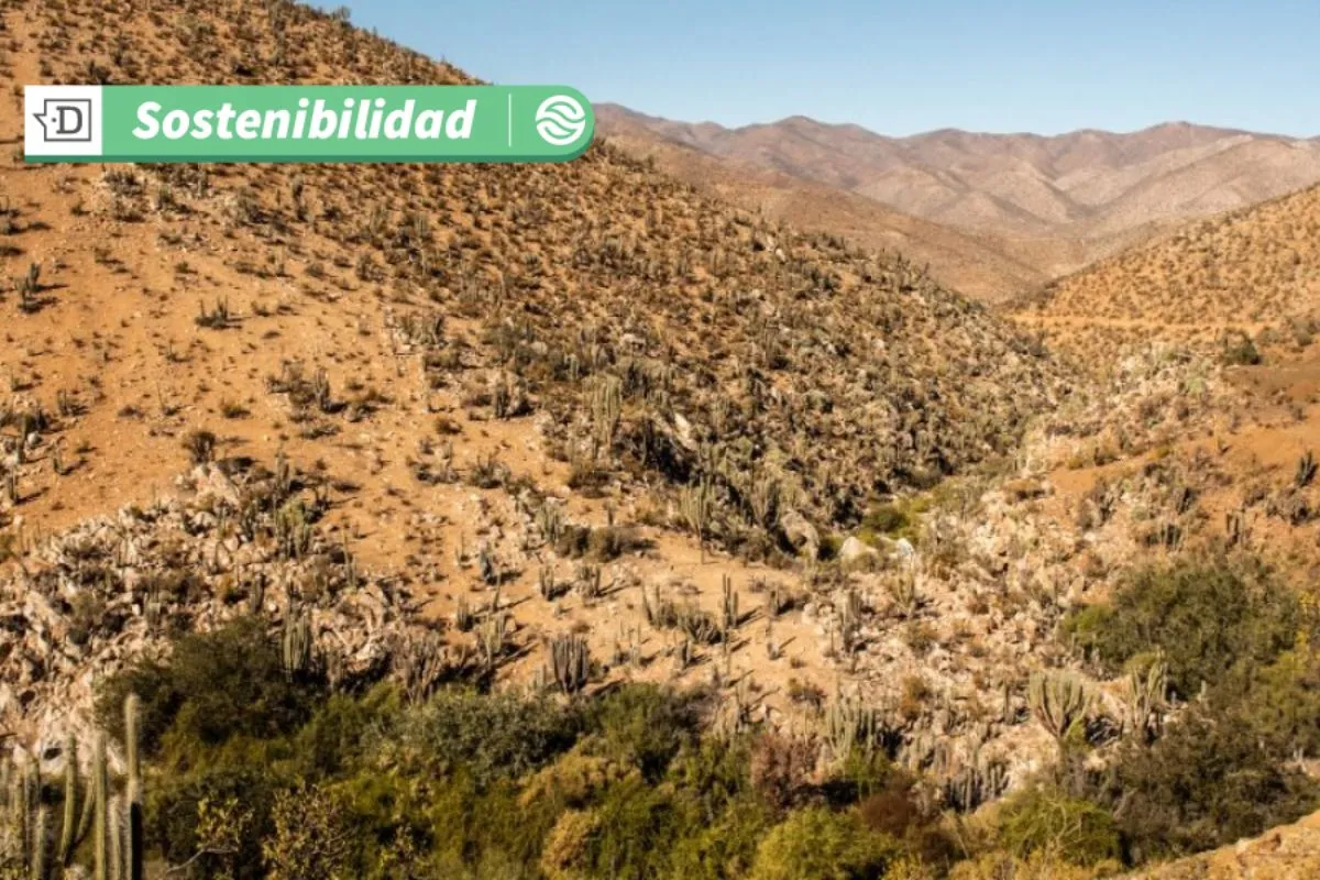 Protección de la naturaleza y el medio ambiente: ¿Conoces el Derecho Real de Conservación (DRC)?