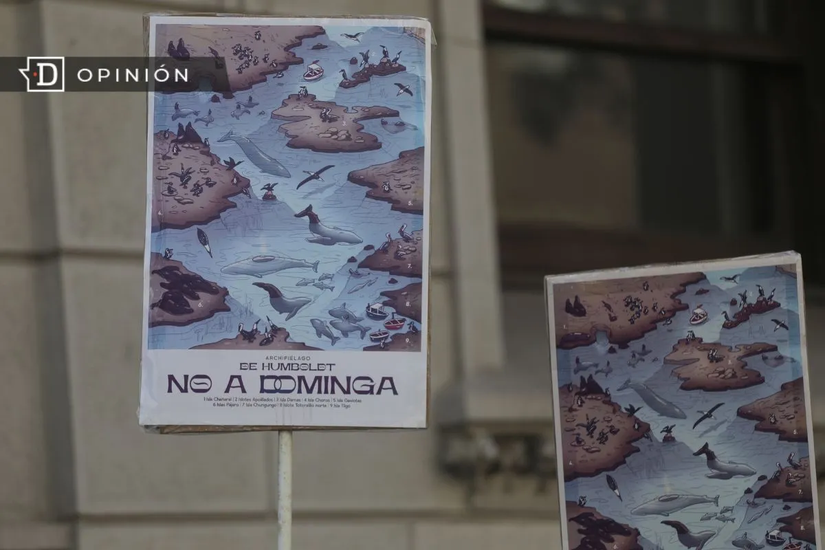“Motosierra Ambiental” en Chile: El caso Dominga
