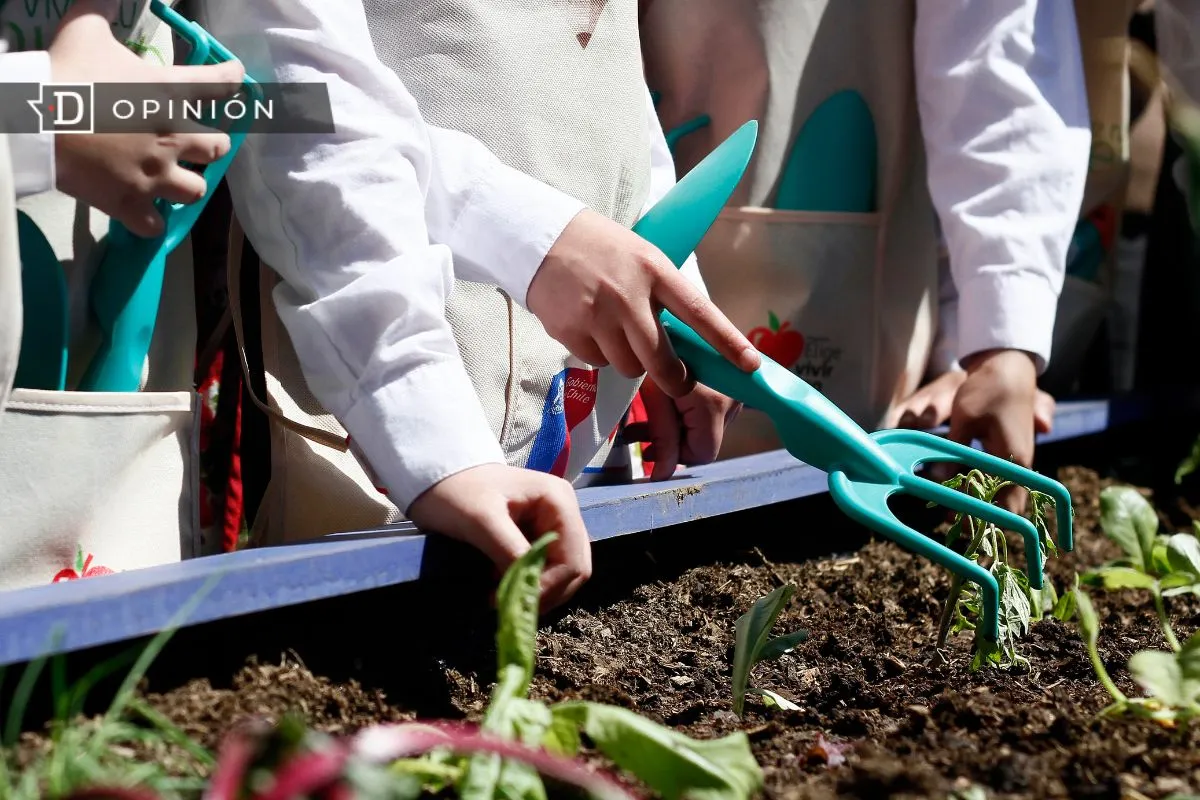 Escuelas que sanan: La naturaleza como clave pedagógica ante la violencia escolar