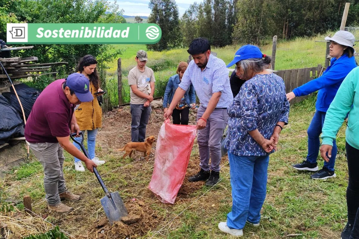 Proyecto Tres: Iniciativa de restauración agroecológica en Ñuble, Biobío y La Araucanía alcanza a más de 230 campesinos