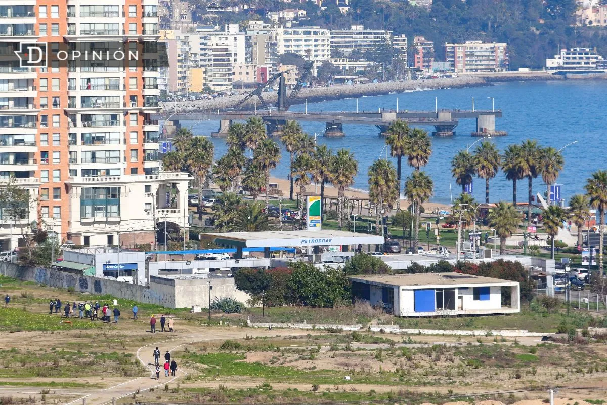 El lado humano tras el daño ambiental en Viña del Mar