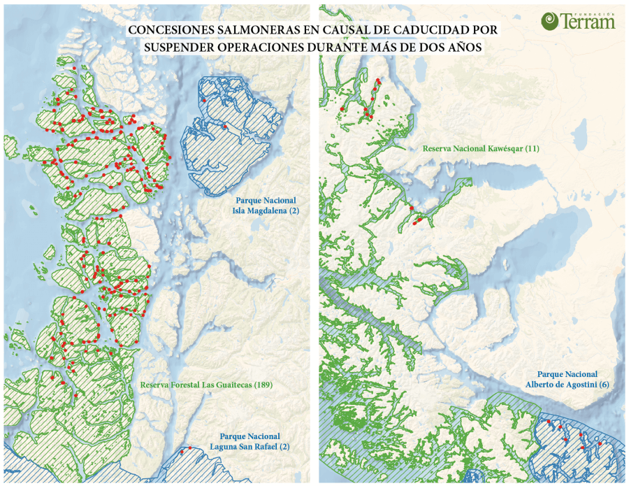 Salmoneras en Áreas Protegidas: 34 concesiones operan pese a incurrir en causal de caducidad