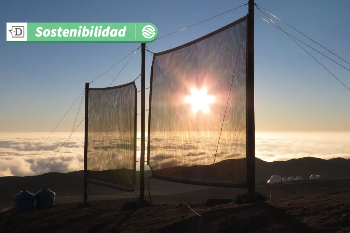 Enfrentando la escasez hídrica: Científicos lanzarán plataforma abierta que indica zonas de captación de agua de niebla