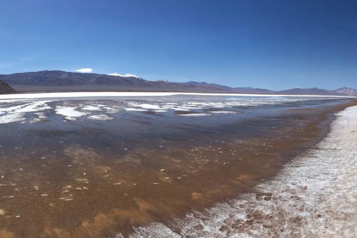 Codelco cierra millonario acuerdo con privada Rio Tinto para explotar Salar de Maricunga, el hogar de miles de flamencos