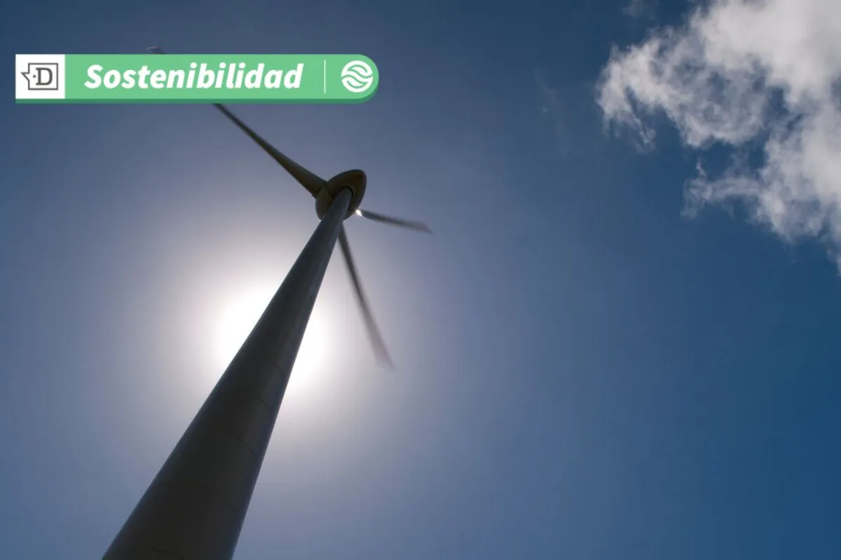 ¿Se hunde la energía eólica flotante?: Lentitud y obstáculos a la inversión dificultan su prosperidad internacional