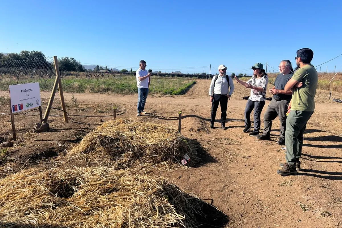 Hay nutrientes en los residuos que son esenciales en cantidades que podrían ser extraídos a través de la mineralización o del compostaje.