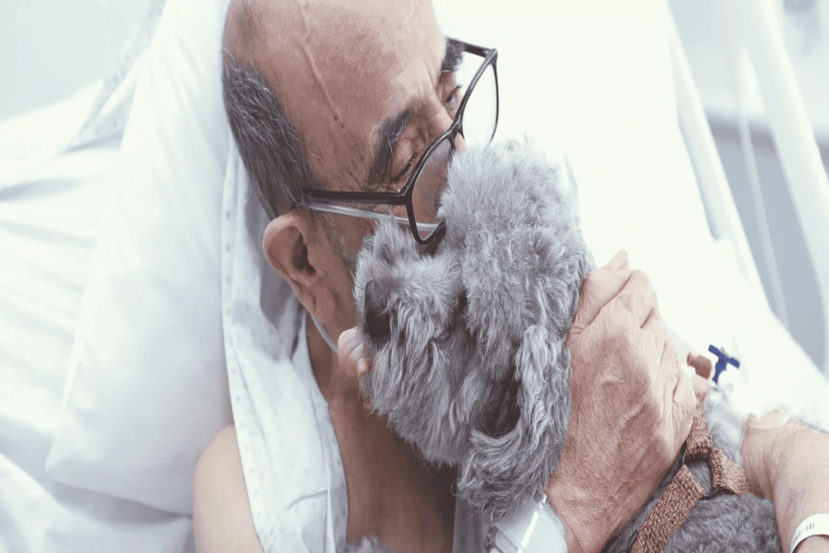 Mascotas podrán acompañar a sus dueños en la UCI: Hospital de la U. de Chile autoriza visitas de entre 30 y 60 minutos
