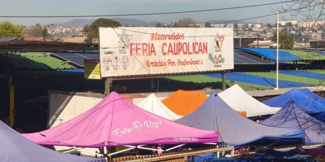 La Feria Caupolicán está en el sector de Gómez Carreño, Viña del Mar.