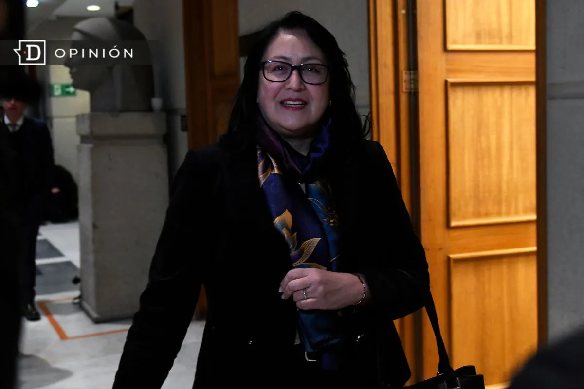 Con Dorothy Pérez, como contralora, se habría exigido que este proyecto honrara su Plan Seccional