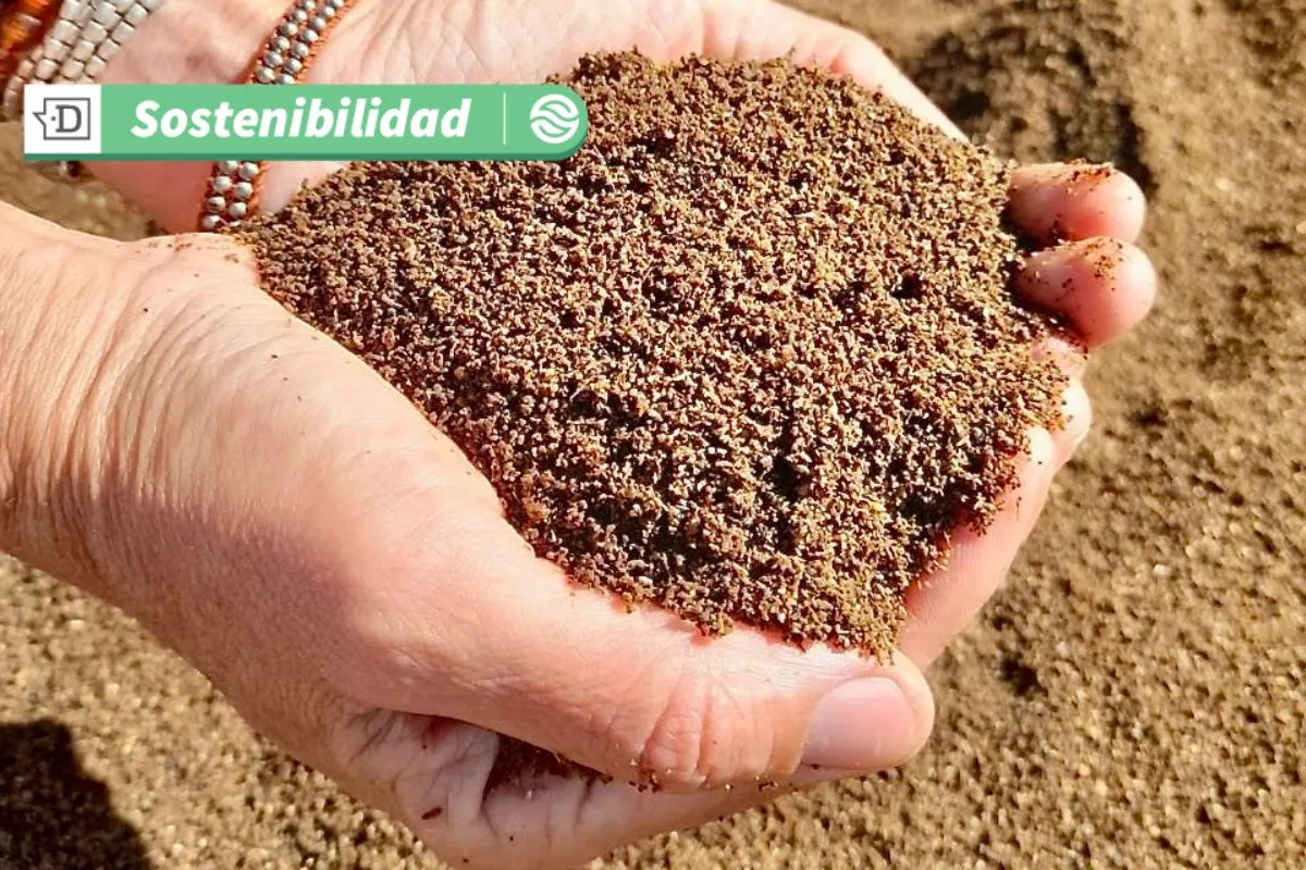 ¿Quieres tener un hermoso jardín?: Conoce el bioestimulante regenerativo producido a partir de residuos orgánicos