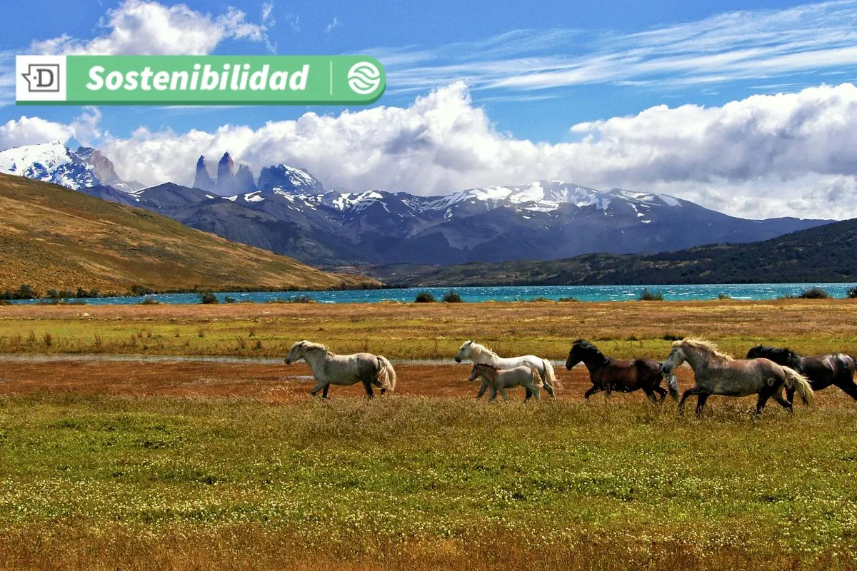 Vacaciones de invierno 2025: ¿Harás turismo de consumo o prefieres viajar para conectarte con la naturaleza?