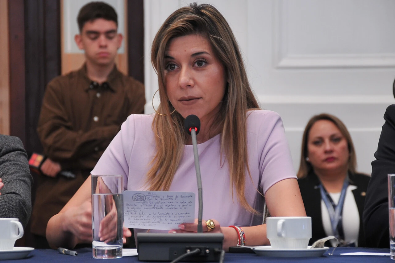 "Pareciera ser que hay humo blanco": Diputada Cicardini prevé acuerdos en fraccionamiento de merluza