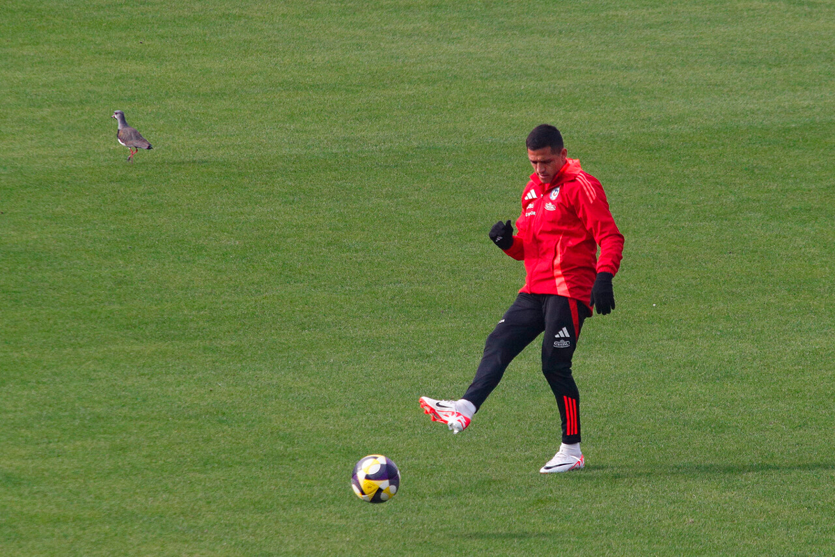 Gareca insistirá con Alexis Sánchez de ‘9’: “Sabemos la dimensión de jugador que es”