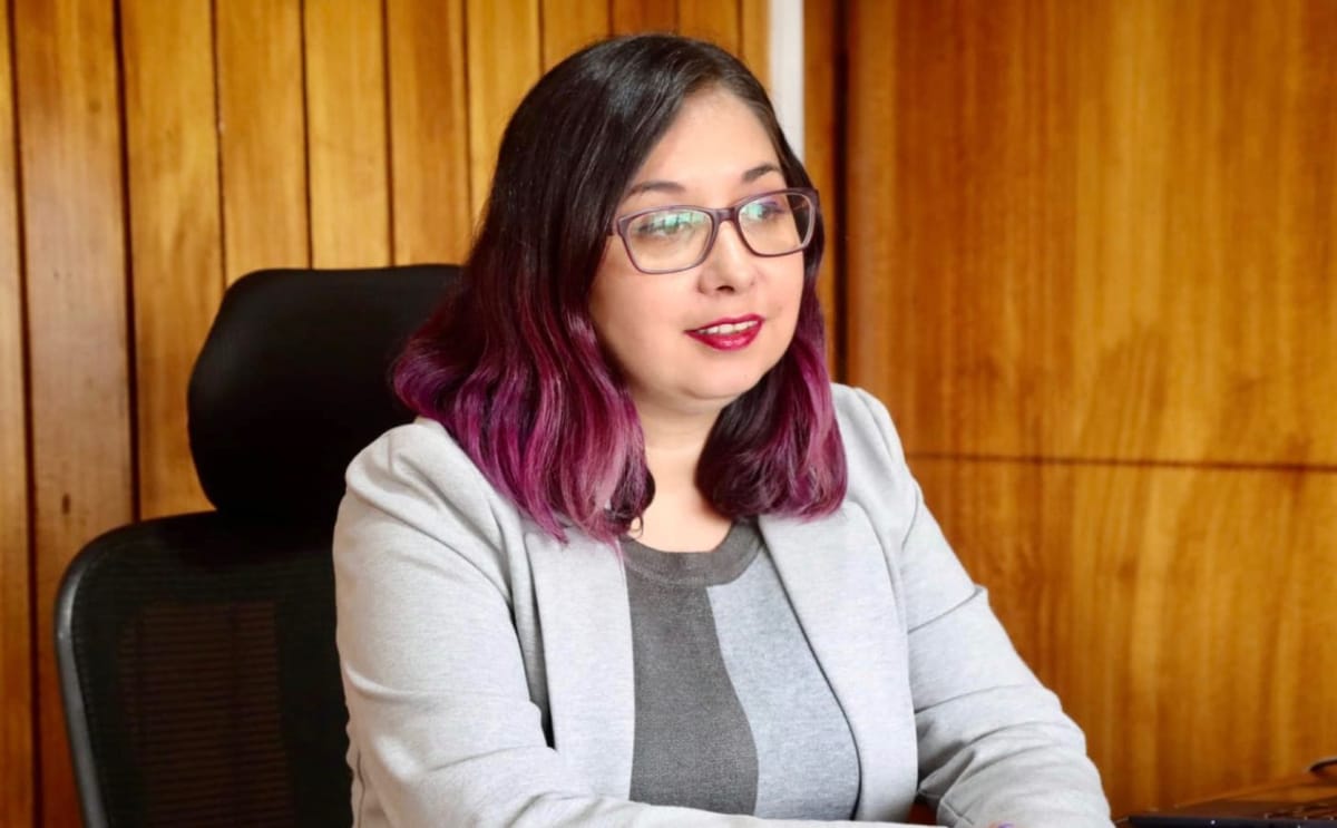 Seremi de Minería de Antofagasta, Macarena Barramuño, renuncia tras estar 10 meses de licencia médica