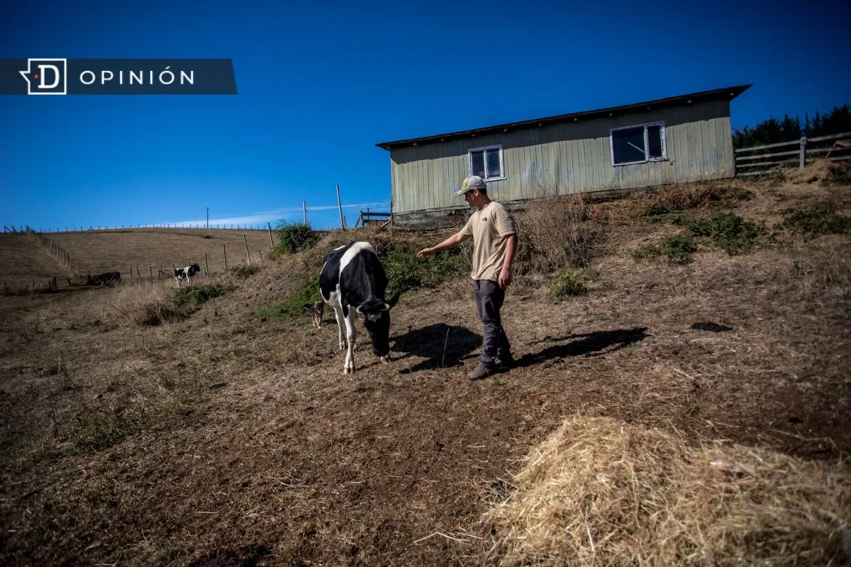 Los pobres del campo: Olvidados por los dirigentes del país y por quienes aspiran a serlo