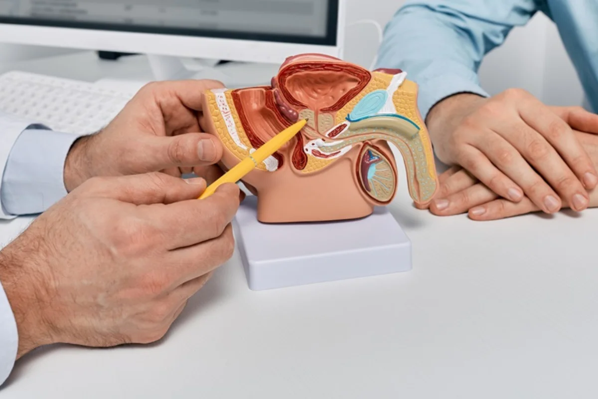 Día del Cáncer de Próstata: Cuáles son los síntomas y cómo detectarla sin realizarse una biopsia