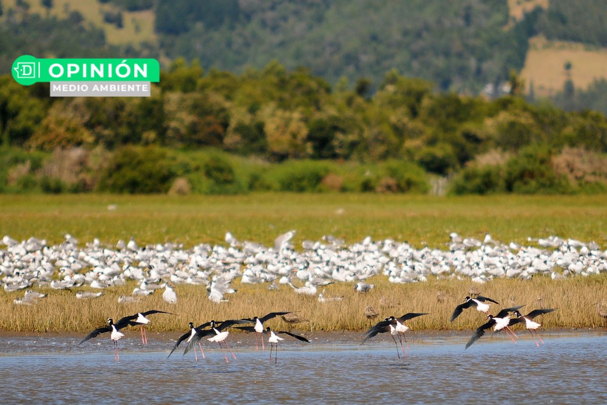 Chile puede vivir en armonía con la naturaleza