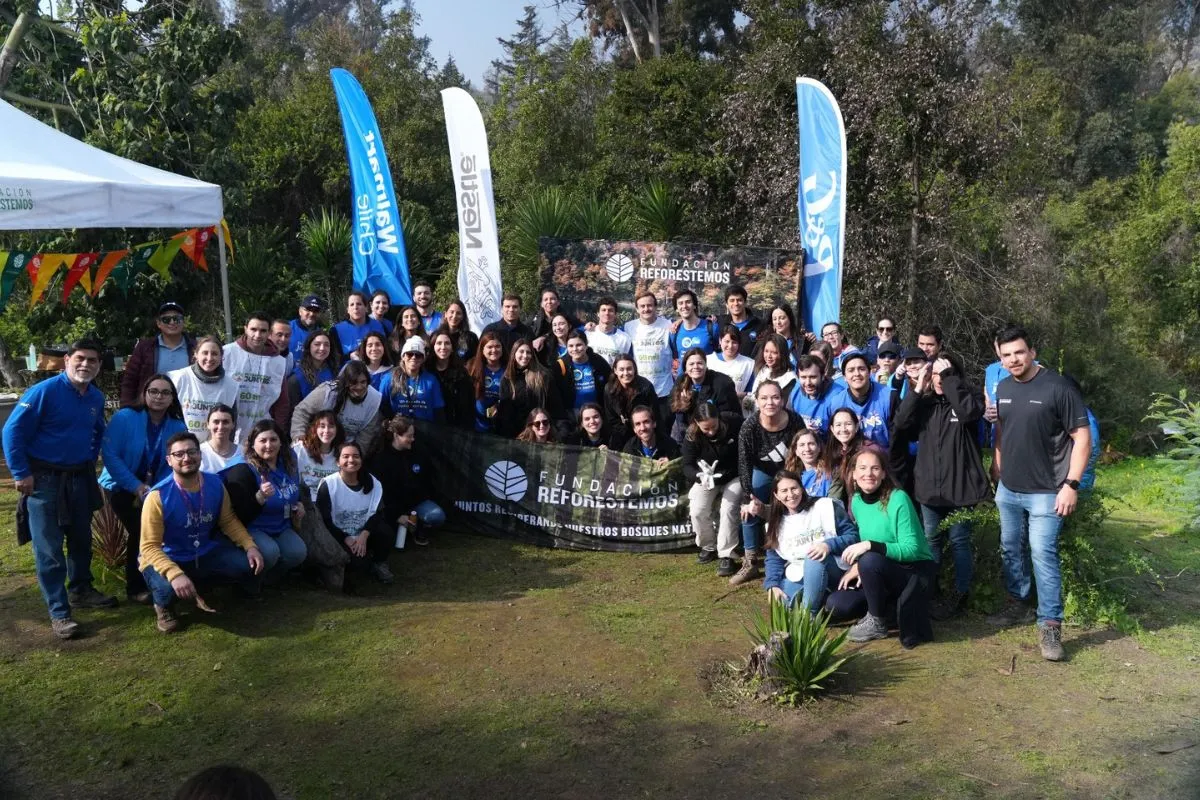 Los voluntarios han ejercido un rol fundamental para lograr una reforestación efectiva.