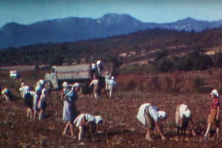 Campesinos expulsados por Colonia Dignidad, "víctimas invisibles" de Schäfer y Pinochet