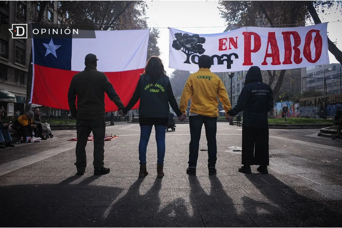 Paro de CONAF: El ignorado daño a pequeños emprendedores y comunidades rurales