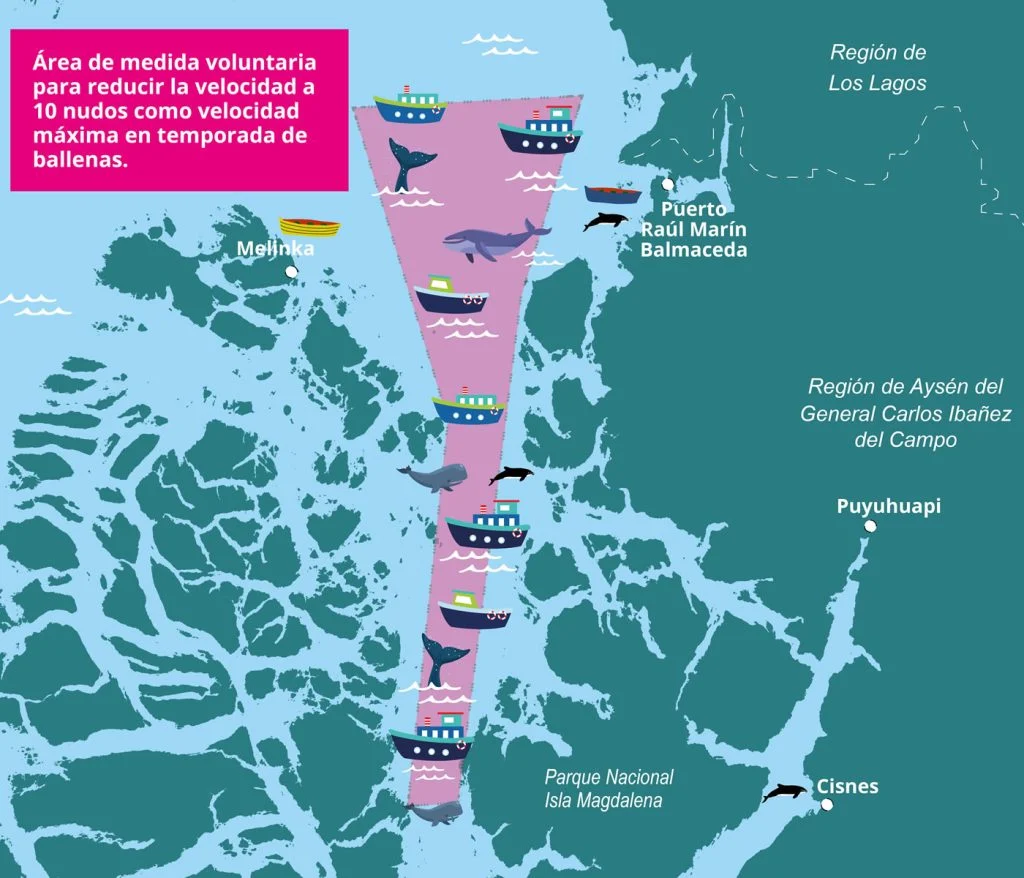 Mapa indica las zonas de mayor circulación de ballenas.