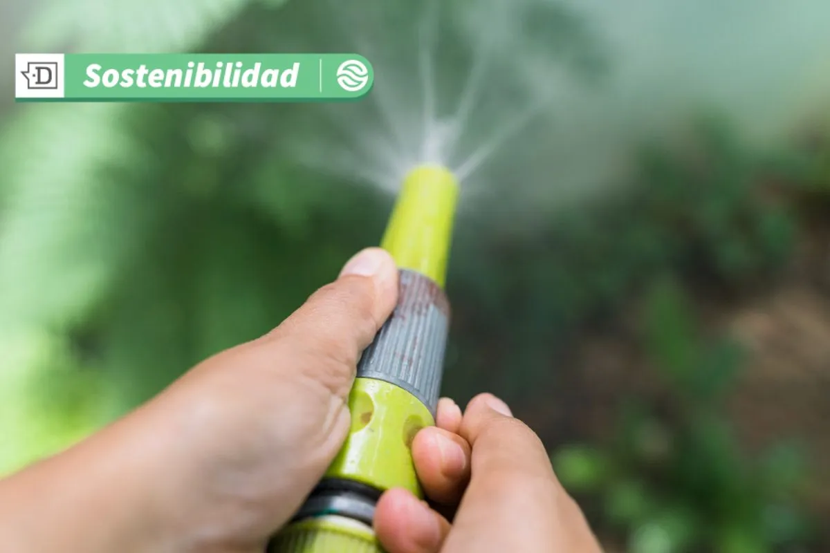 Avanza el cuidado del agua: Normativa obligará a nuevos edificios privados y públicos a separar y reutilizar aguas grises