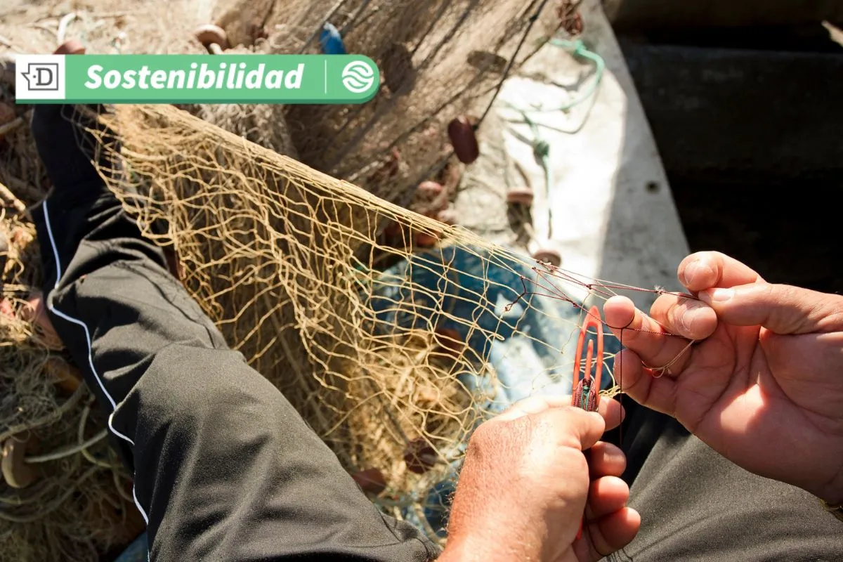 Fondo internacional: Pescadores artesanales de Puerto Gala en Aysén ganan 9.500 dólares para impulsar pesca sustentable