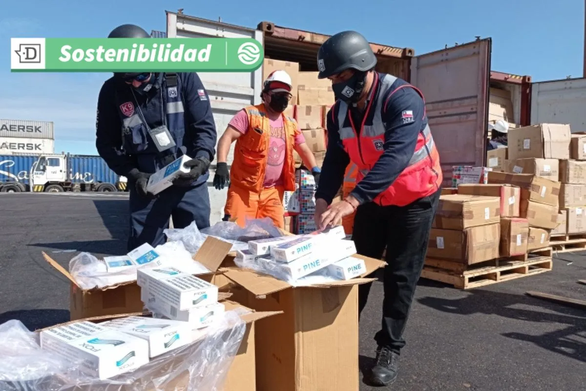 Solución para biodegradar cigarrillos ilegales: Científicos de la USM avanzan en método para revalorizar incautaciones