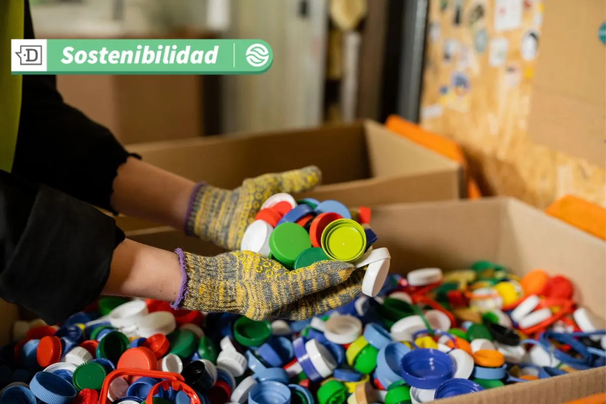 Postula al Premio Territorio Circular: Tercera versión busca empresas con foco en un modelo productivo más sostenible