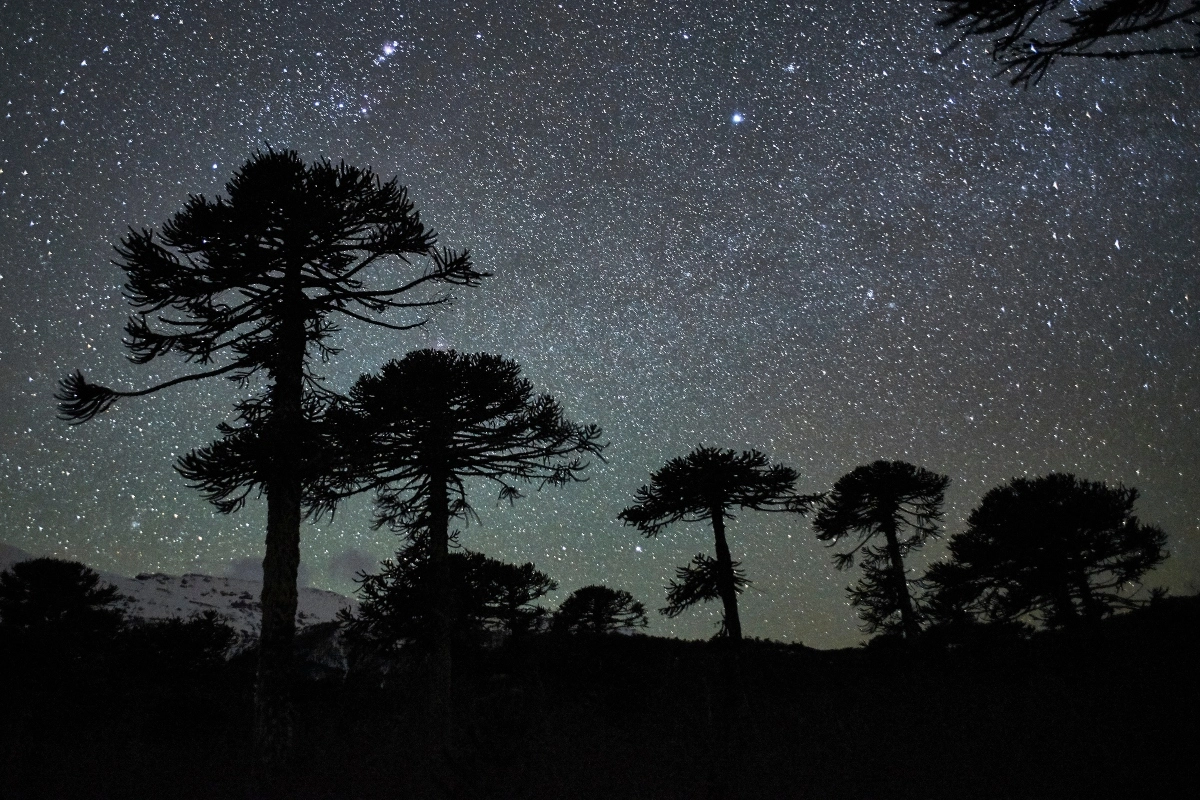 El paso de gallina del sol mapuche: Libro gratuito describe la astronomía detrás del We Tripantu