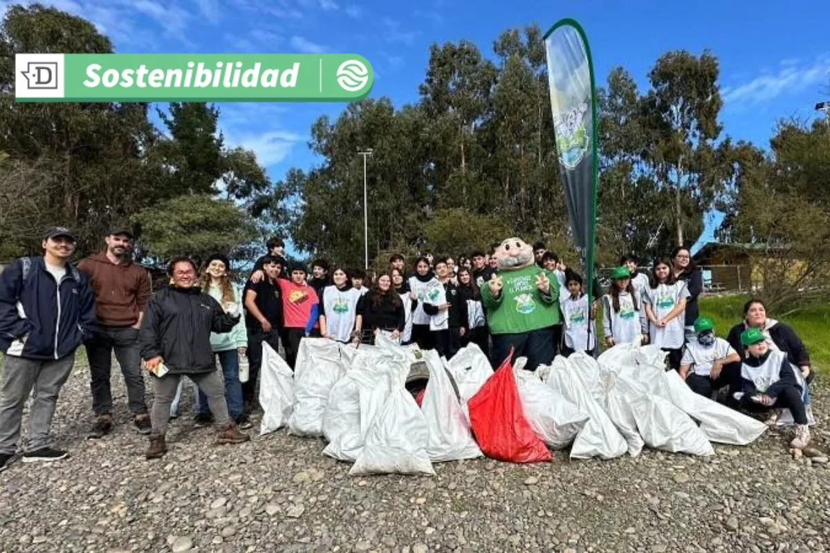 230 kilos de residuos son retirados en limpieza en río Rapel: Voluntarios colaboraron con ecosistema clave para las aves