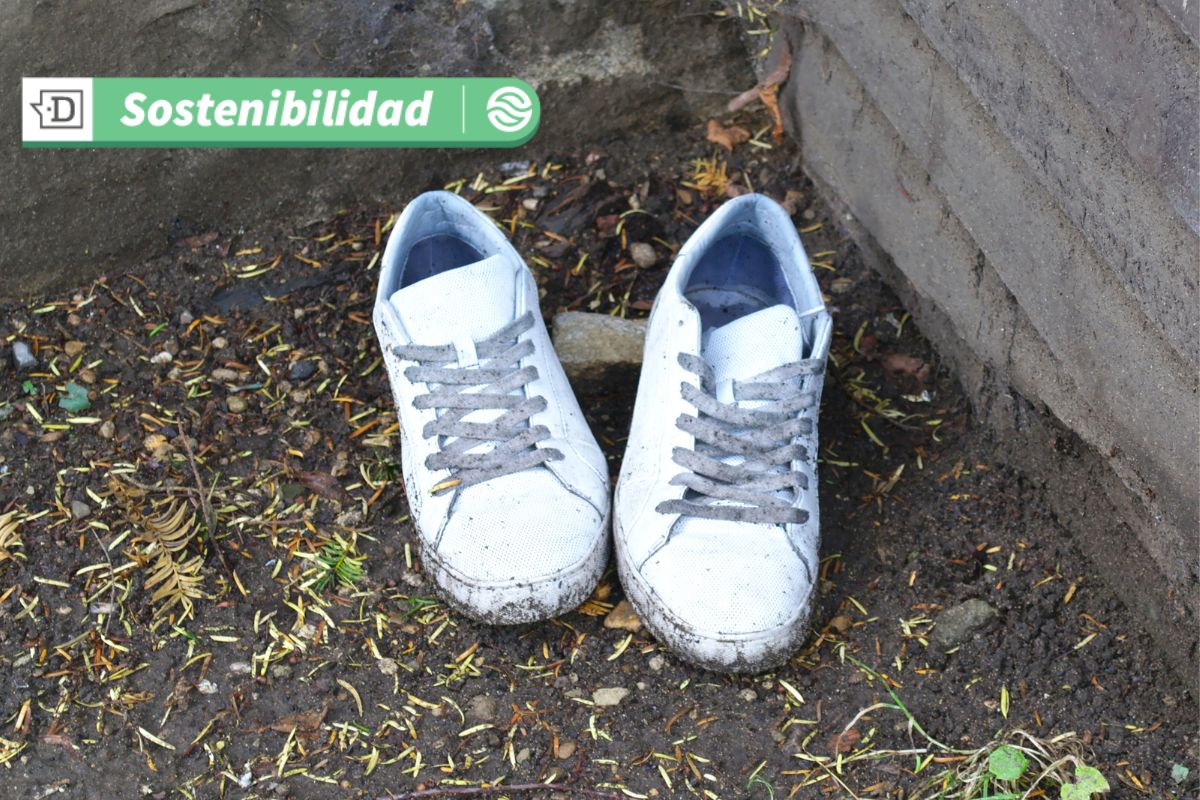 ¿Tienes zapatillas que no ocupas?: Obtén un descuento reciclando tu calzado y apoya iniciativa de construcción circular