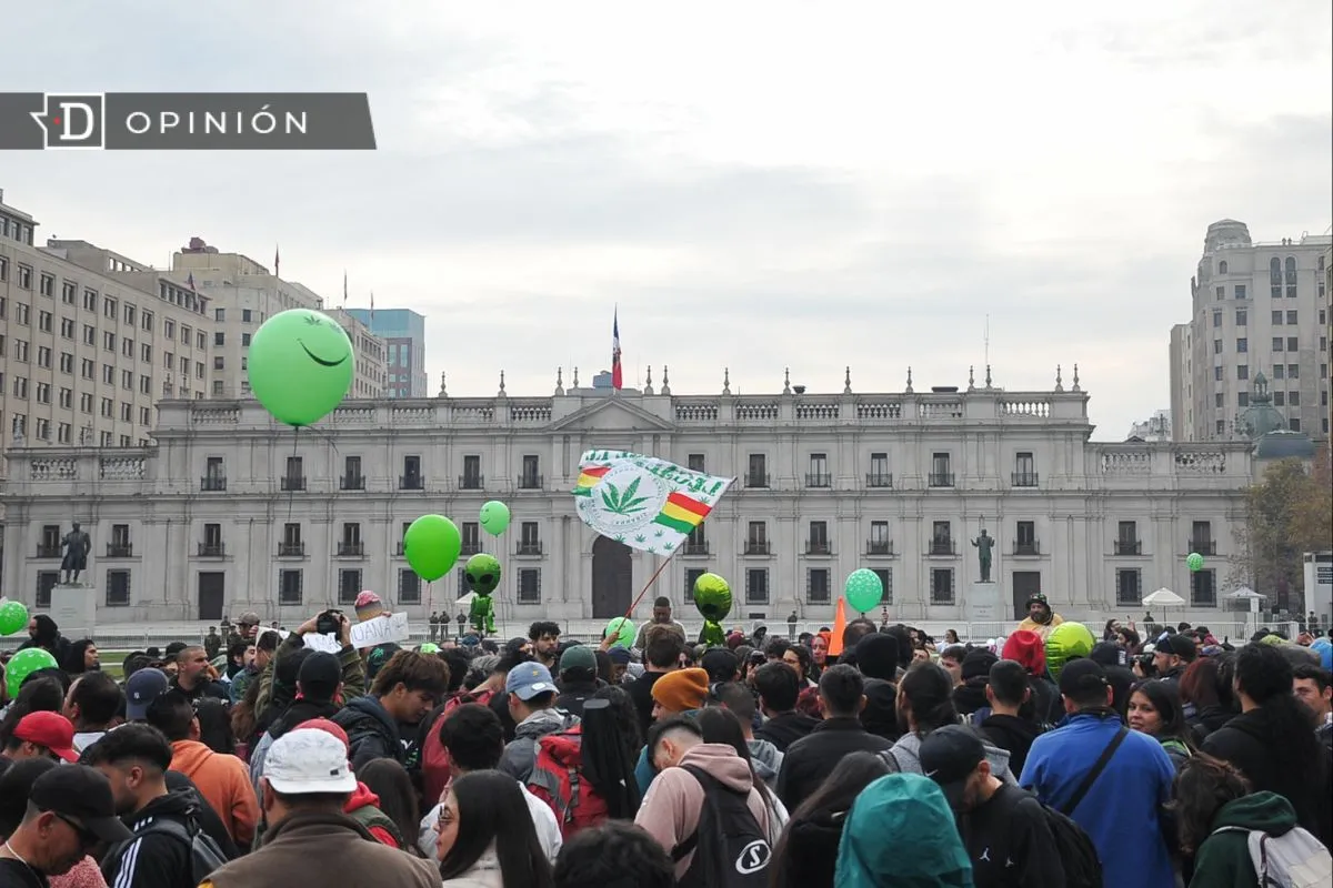 Regular es educar, criminalizar es ignorar