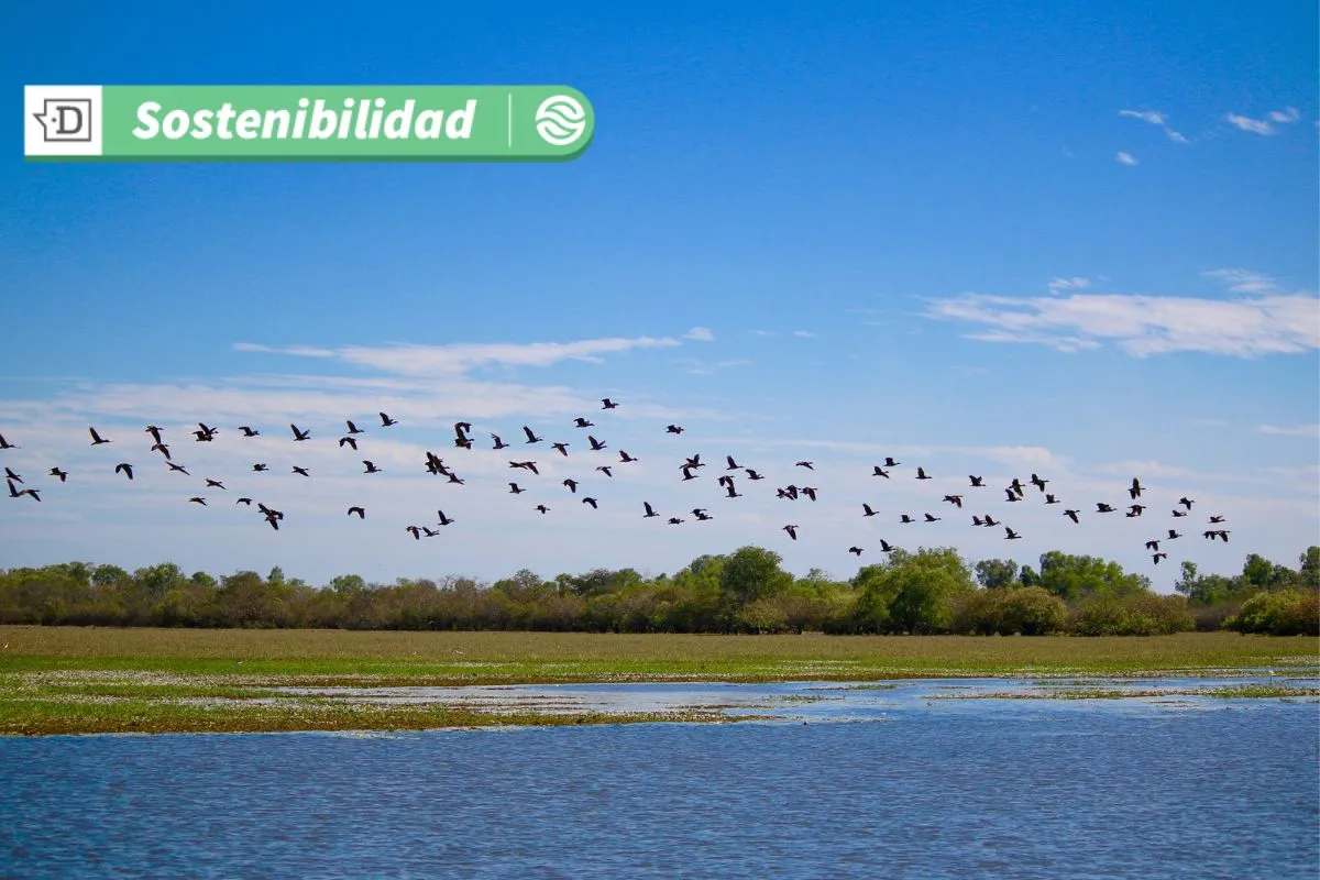 Último llamado para postular a la Escuela REDAR: Instancia de formación en D.D.H.H. para líderes en la defensa ambiental